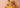 Lehenga choli collection 2026 by Waqas Shah Official featuring Pakistani bridal dresses and luxury wedding couture