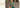 Top Pakistani bridal trends 2026 featuring lehengas, bridal colors, dupatta styles and complete wedding guide