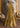 Orchid Olive Green Pakistani bridal lehenga with sequin detailing by Waqas Shah Official