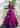 Magenta pink bridal lehenga choli Lyric by Waqas Shah Lahore Pakistani designer wedding dress