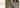 Top Pakistani bridal trends 2026 featuring lehengas, bridal colors, dupatta styles and complete wedding guide