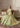 Daisy Light Green Pakistani wedding lehenga with scalloped hem by Waqas Shah Official