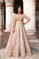 Dilnashin champagne gold Pakistani nikkah lehenga choli, full front view with beaded blouse, chevron embroidered skirt and net dupatta