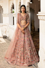 Naz Bano champagne brown Pakistani mehndi lehenga choli – Waqas Shah Official