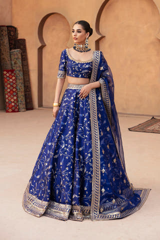 Shahnaaz midnight blue Pakistani mehndi lehenga choli in raw silk, full front view with organza dupatta