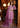 TULIP Lilac Pakistani formal dress by Waqas Shah Official