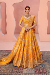 Zari mustard yellow Pakistani mehndi lehenga choli, full front view with mirror work and organza dupatta
