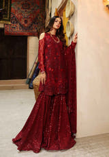 Red net shirt with intricate hand embellishment on front back and sleeves by Waqas Shah Official
